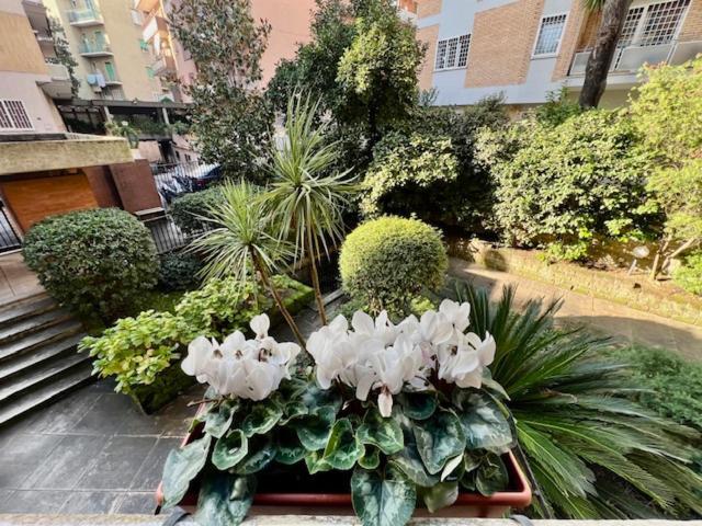 La Casa Delle Camelie Apartment Rome Exterior photo